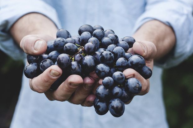 How to make wine at home (you’re welcome)