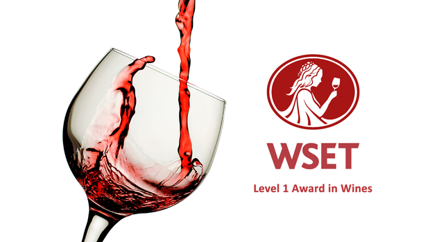 How to study for the WSET Level 1 exam more efficiently