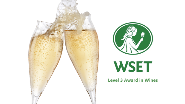 How to study for the WSET Level 3 wine exam more efficiently